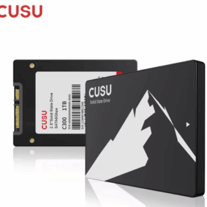 Disco SSD CUSU C300 SATA3 (512 GB)